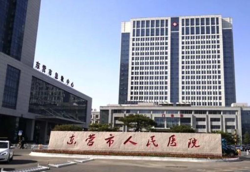 中医妇科：传统与现代的交融